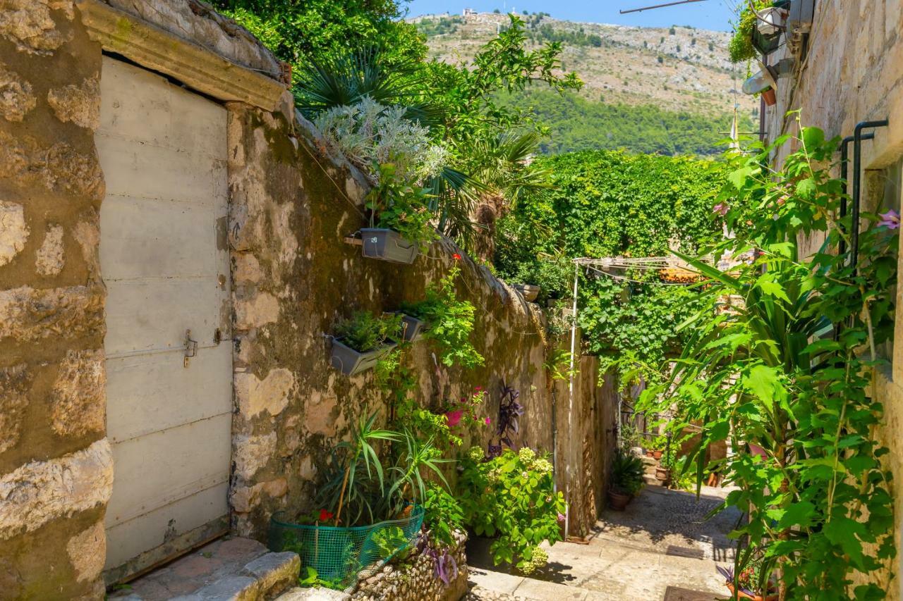 Вілла Old Town House With Floor Heating & Lush Private Garden Дубровник Екстер'єр фото
